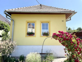 Žltý domček - Apartmán Švábovce